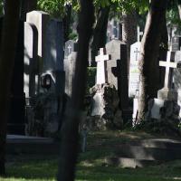 Прогулки по Вене: Центральное кладбище
